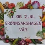 Førsteklasses grønnsakshage - bilde av plakat ved inngangen
